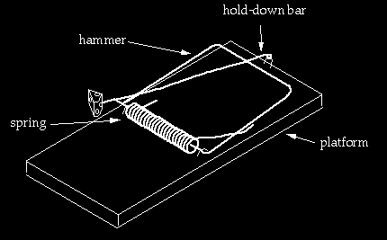 challenge: design a new mousetrap