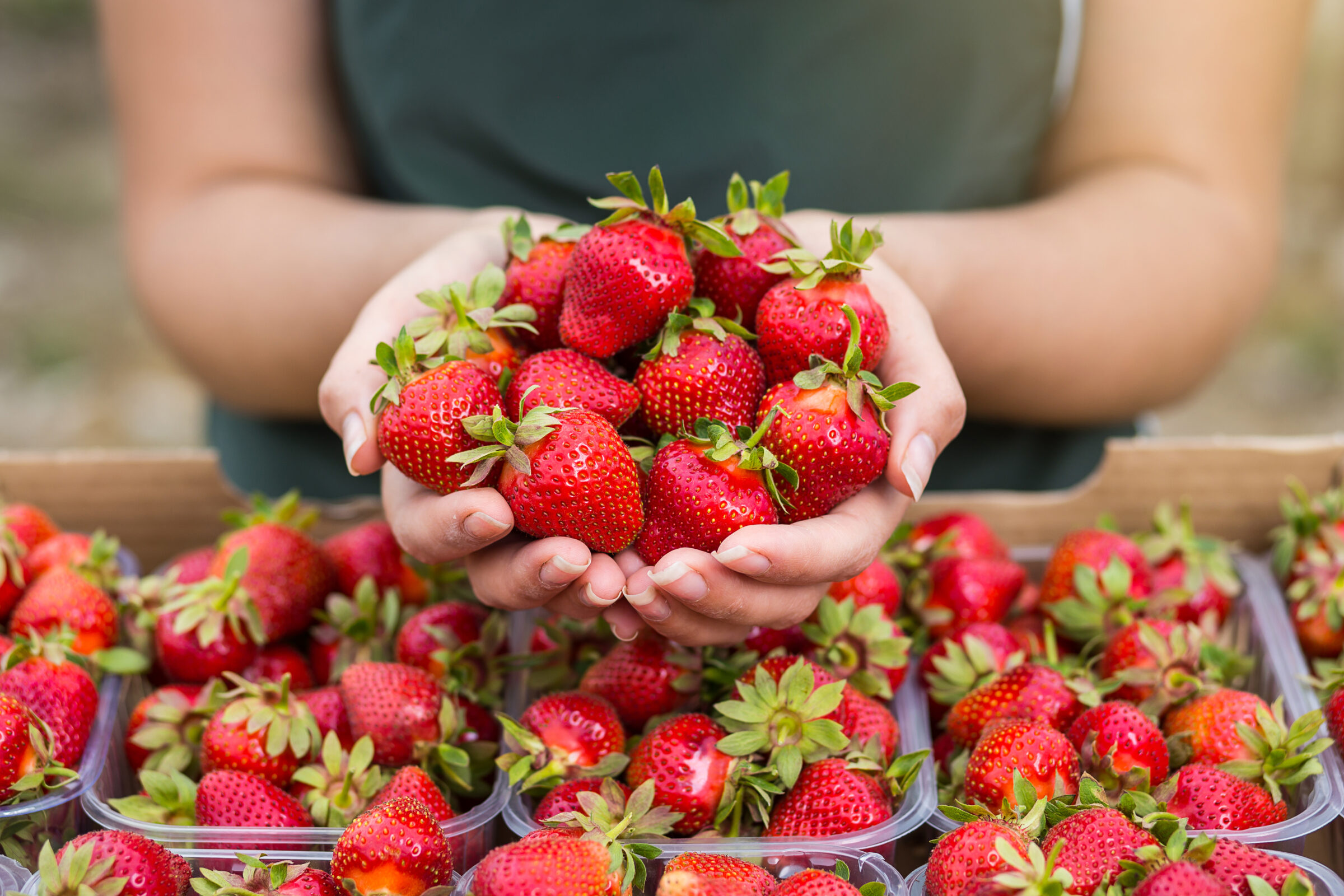 Woman holding strawberries