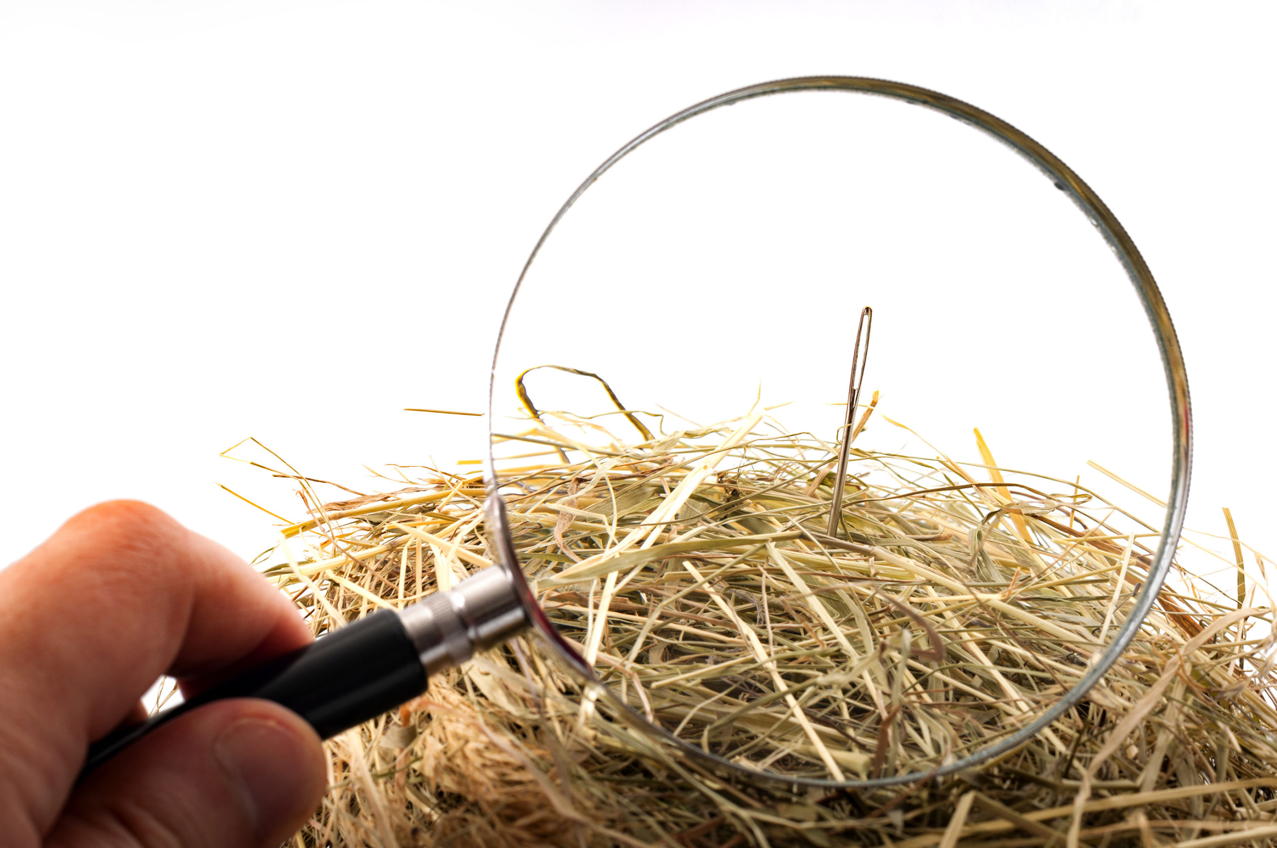 Needle In A Haystack School Innovation American Center For 