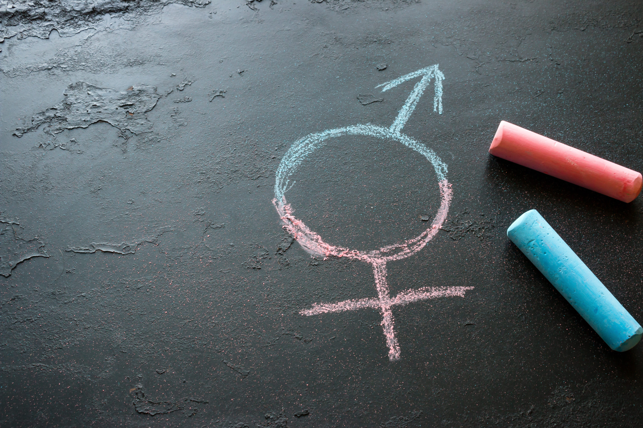 Sexkida - How Replacing Biological Sex with Gender Identity Harms Children | American  Center for Transforming Education